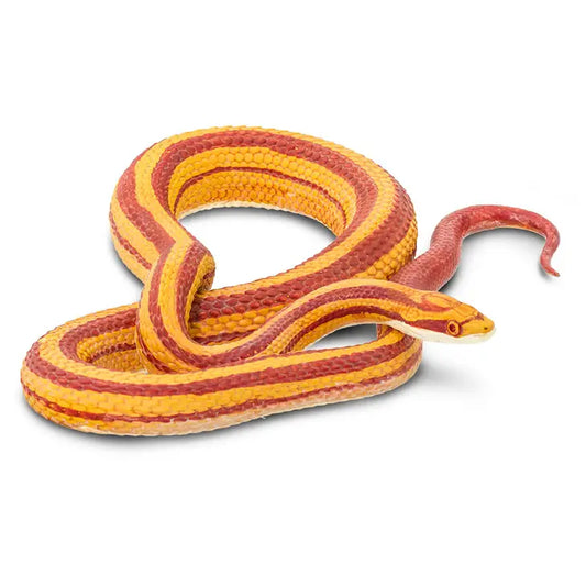 CORN SNAKE