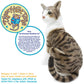AMERICAN SHORT HAIR CAT PLUSH