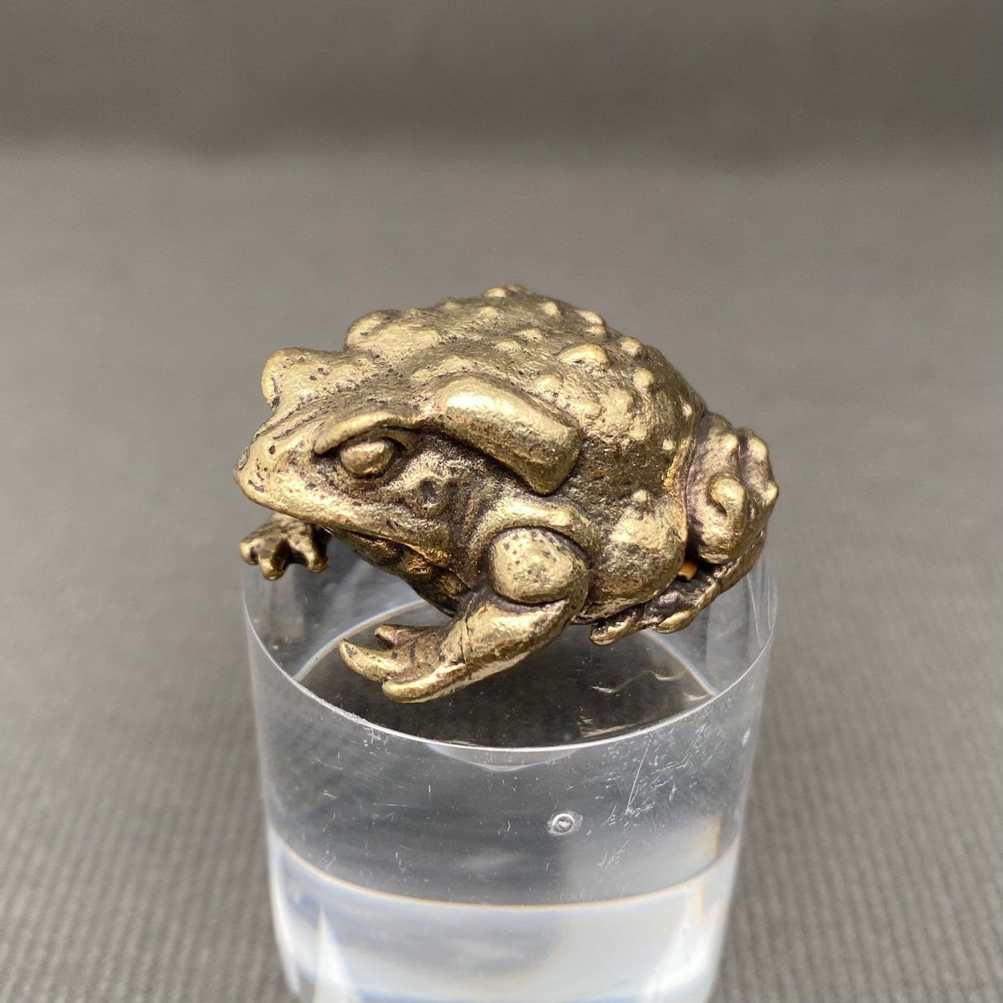 MINIATURE BRASS TOAD