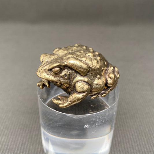 MINIATURE BRASS TOAD