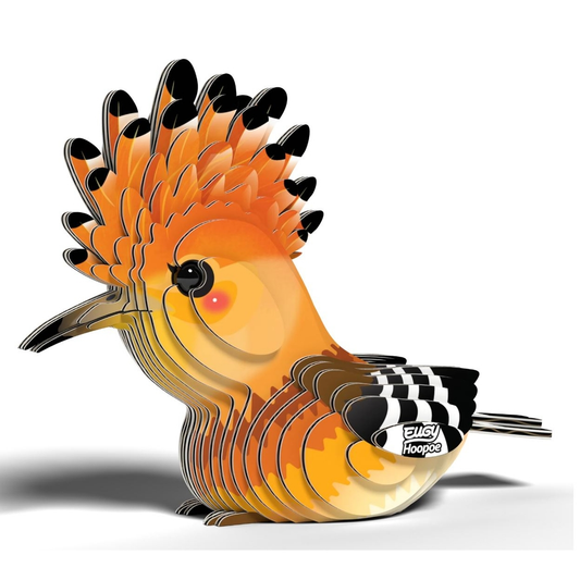 EUGY HOOPOE