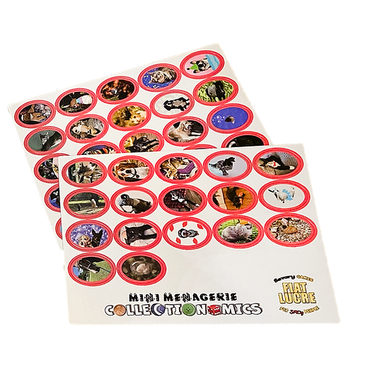 COLLECTIONOMICS DELUXE BUNDLE EXTRAS
