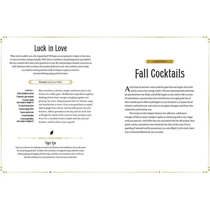 WITCHCRAFT COCKTAILS BY JULIA HALINA HADAS