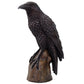 THE RAVEN NEVERMORE STATUE