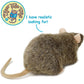 BROWN RAT PLUSH