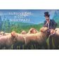THE SHEEP