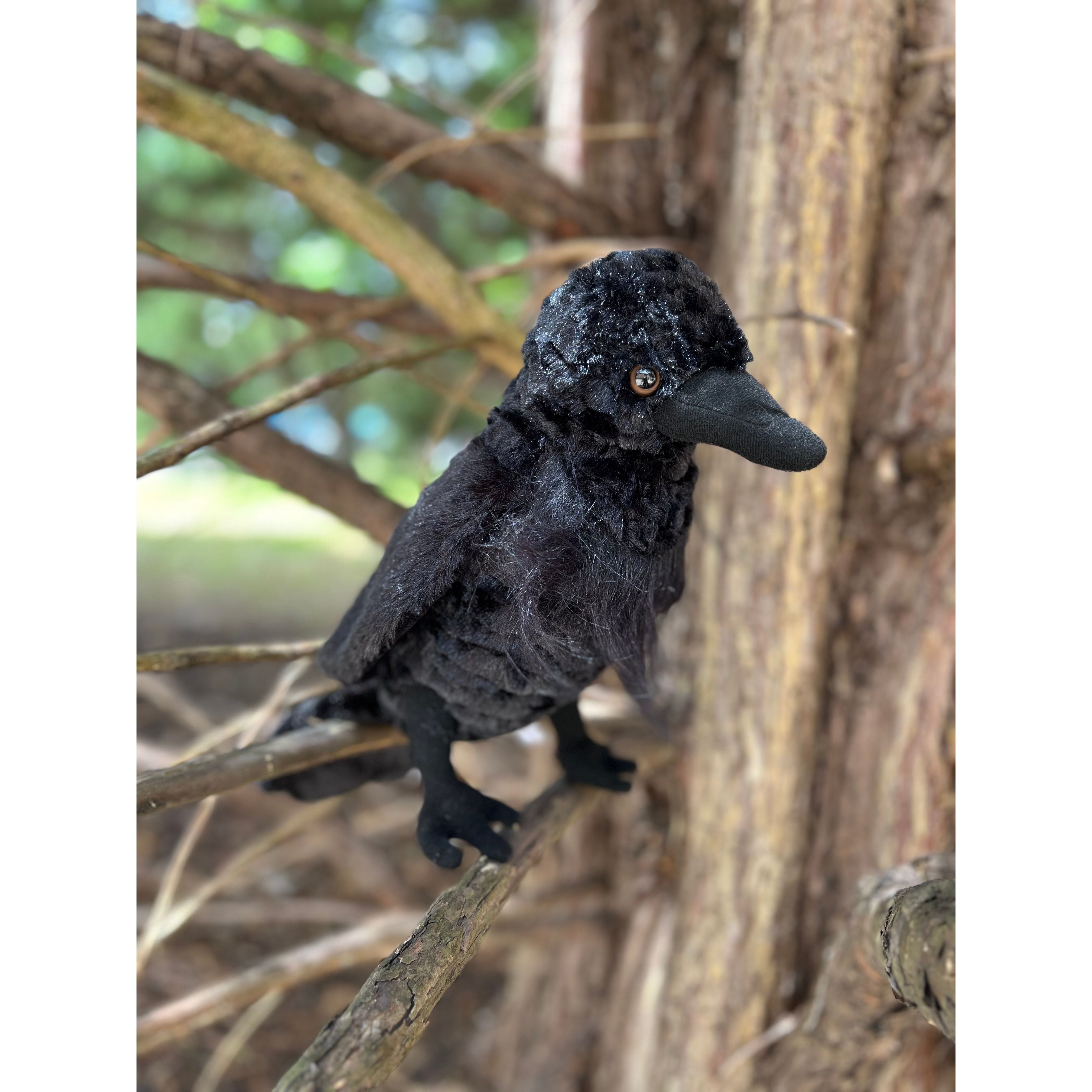 RAVEN PLUSH – Games and Stuff