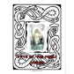 FATE OF THE NORNS DIVINER