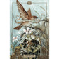 HUSH TAROT