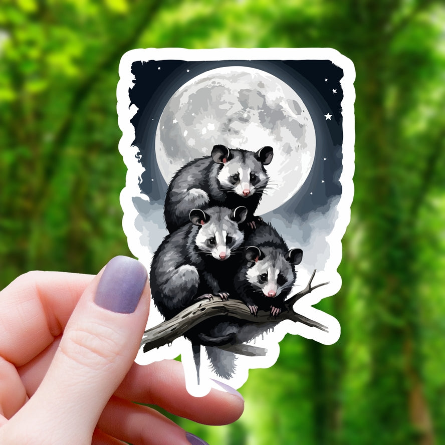 OPOSSUMS IN THE NIGHT STICKER