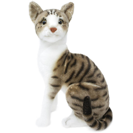 AMERICAN SHORT HAIR CAT PLUSH