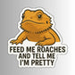 TELL ME I'M PRETTY BEARDED DRAGON STICKER