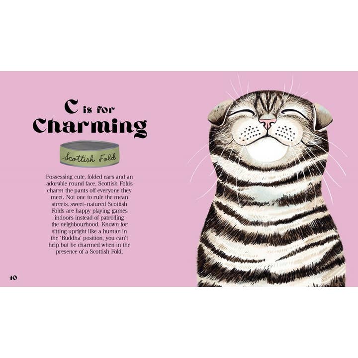 CATPHABET: A CAT ALPHABET BY JO STEWART