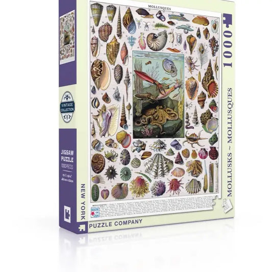 MOLLUSQUES PUZZLE 1000 PC