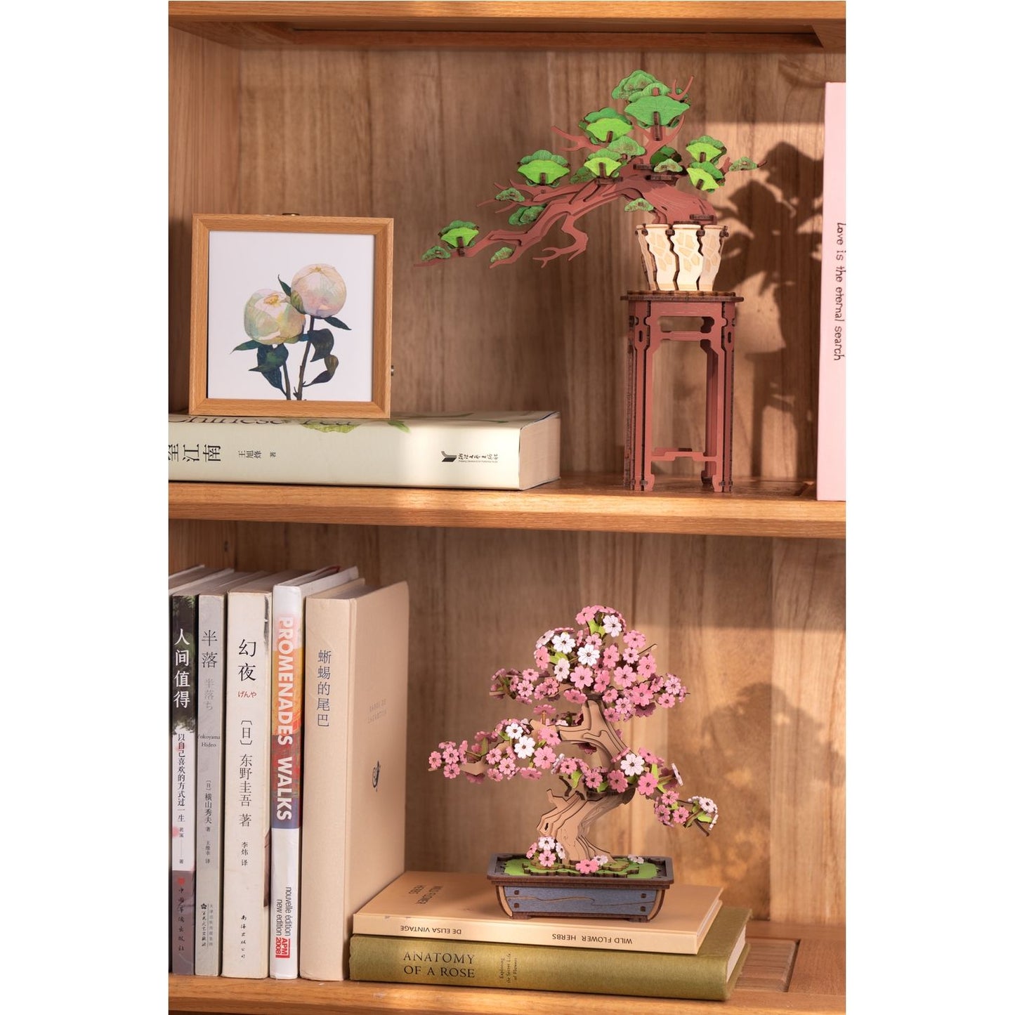 3D WOODEN PUZZLE EVERGREEN PINE BONSAI