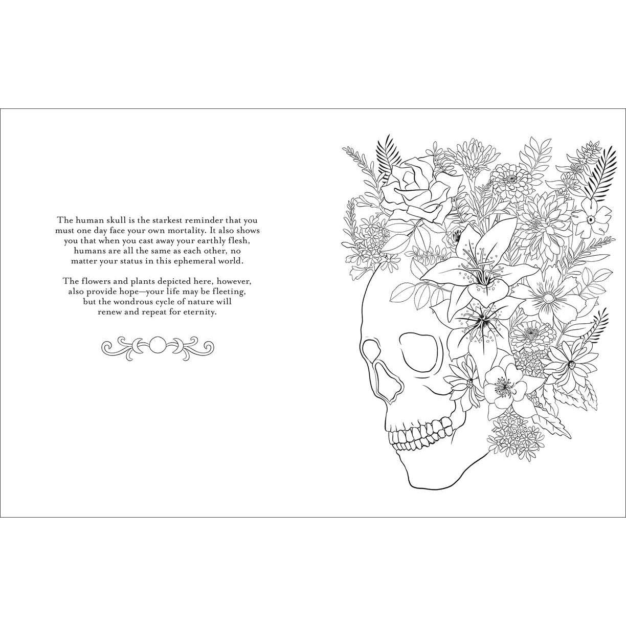 BELIEVE IN MAGIC- AN ENCHANTING COLORING BOOK BY CLAIRE SCULLY