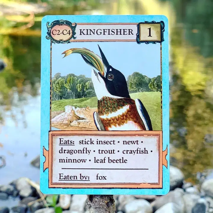 ECOLOGIES CARD GAME BIZARRE BIOMES EXPANSION