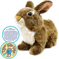 BUNNY RABBIT PLUSH