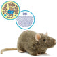 BROWN RAT PLUSH