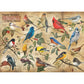 POPULAR BACKYARD WILD BIRDS OF NORTH AMERICA 1000PC PUZZLE