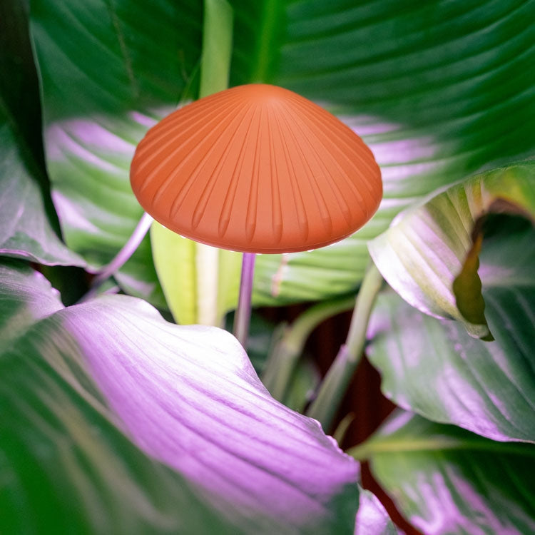 MUSHROOM GROW LIGHT