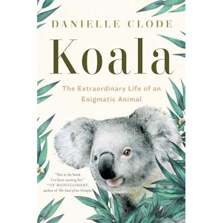 KOALA: THE EXTRAORDINARY LIFE OF AN EGNIGMATIC ANIMAL BY DANIELLE CLODE