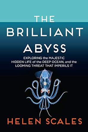 THE BRILLIANT ABYSS BY HELEN SCALES