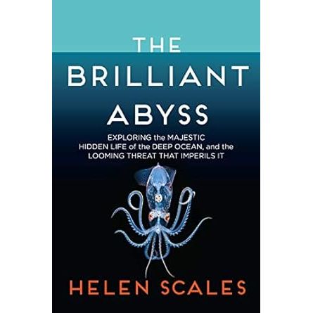 THE BRILLIANT ABYSS BY HELEN SCALES