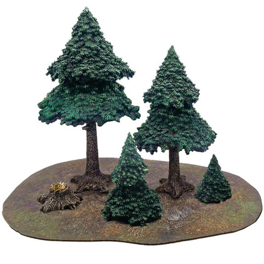 EVERGREEN PINE TREE FOREST