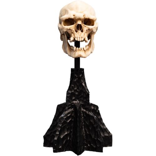 THE LORD OF THE RINGS SKULL OF A MORDOR ORC MINIATURE STATUE