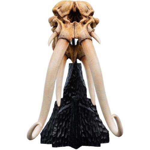 THE LORD OF THE RINGS SKULL OF A MUMAK MINIATURE STATUE