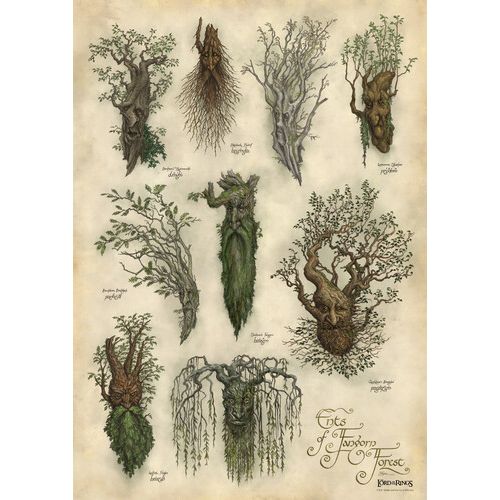 ENTS OF FANGORN FOREST ART PRINT (THE LORD OF THE RINGS WETA WORKSHOP)