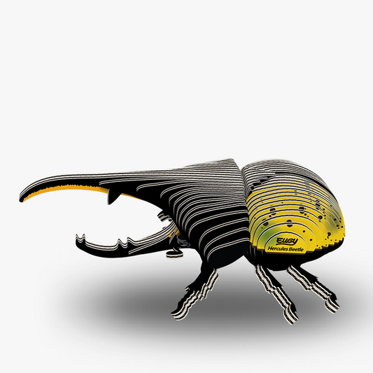 EUGY HERCULES BEETLE