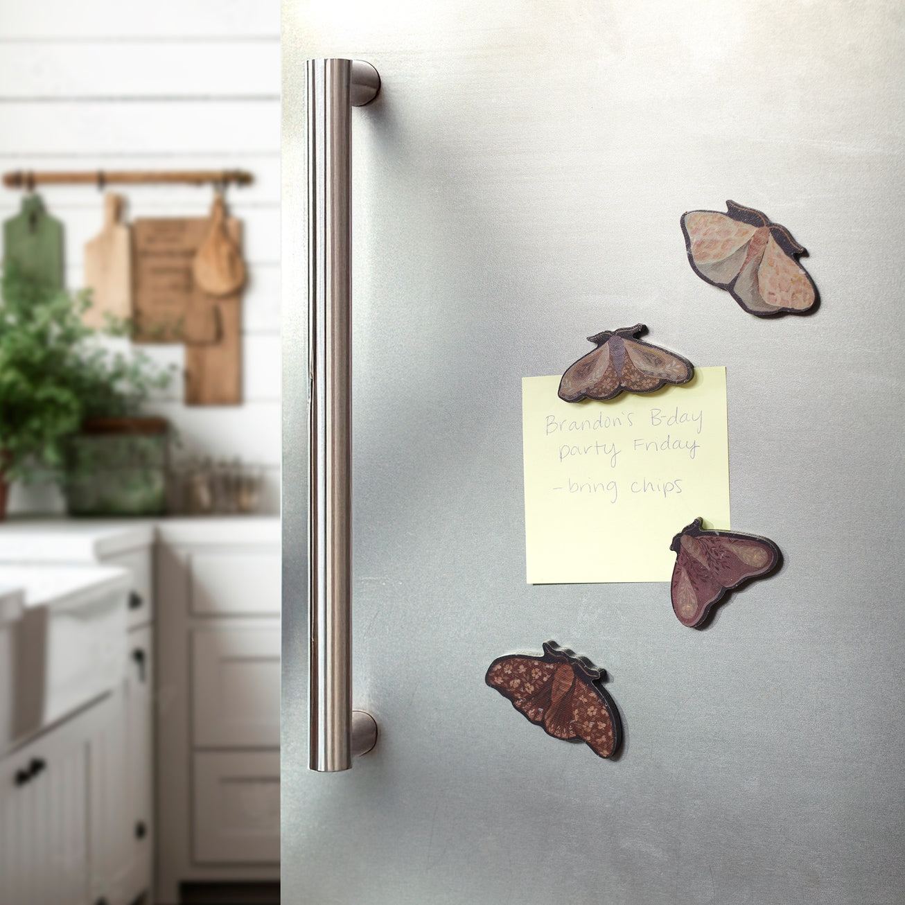 HIDDEN GARDEN MOTH MAGNETS