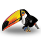 EUGY TOUCAN