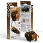 EUGY BISON