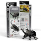EUGY RHINO BEETLE