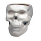 AWESOME SKULL PLANTER