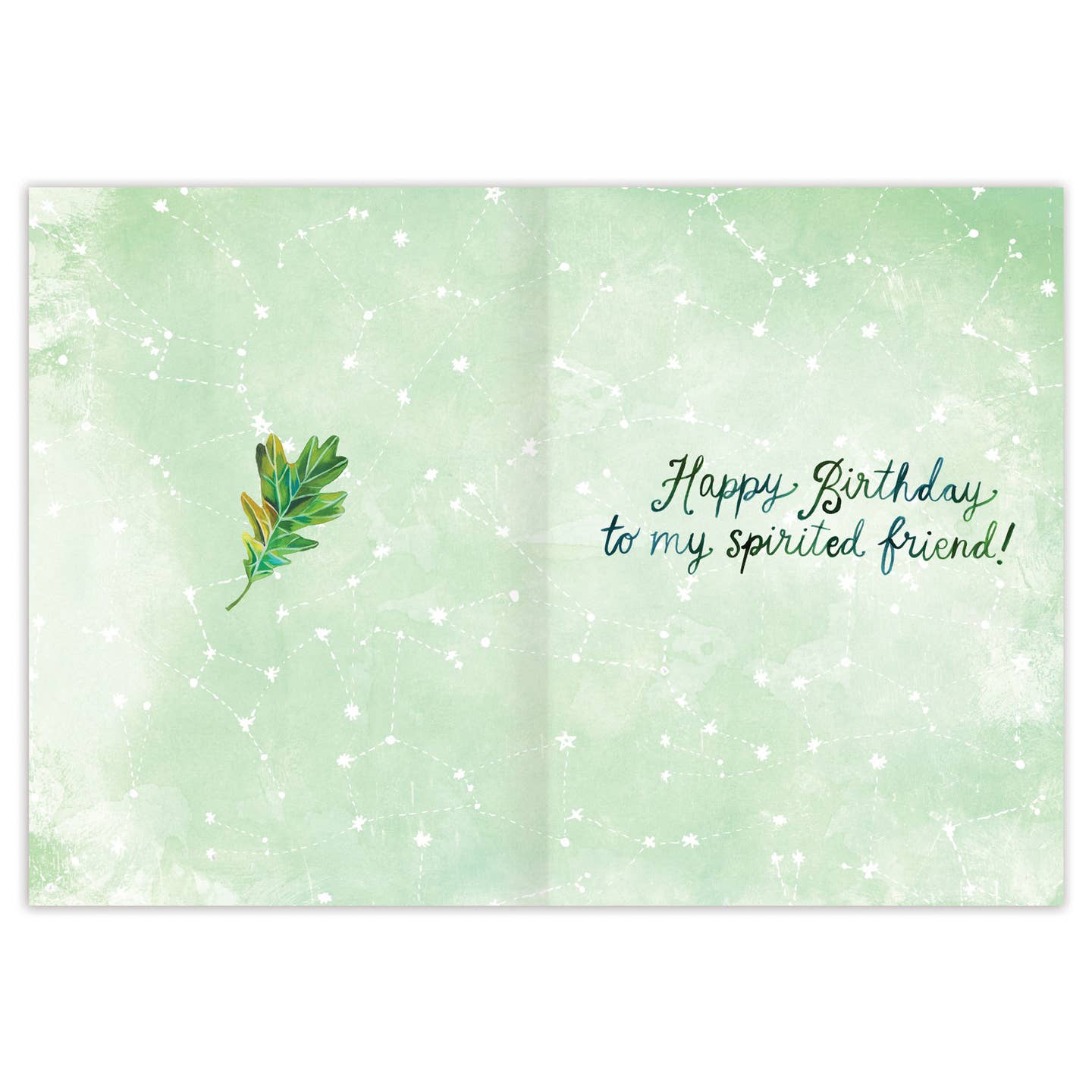 WILD ANIMALS BIRTHDAY CARD