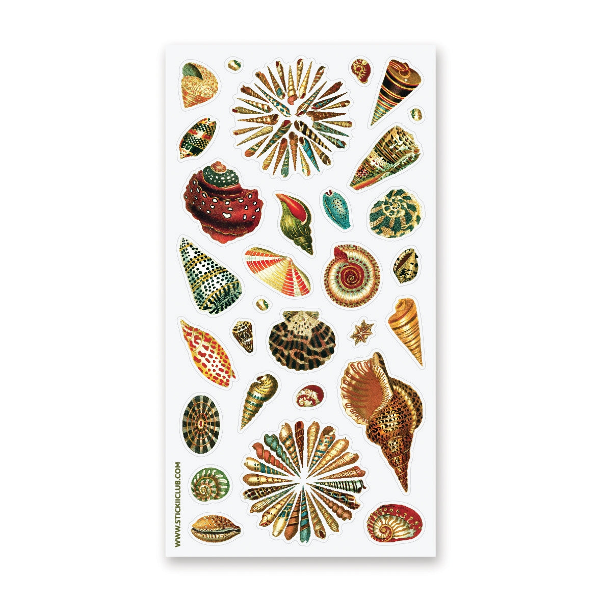 WASHI SHELLS STICKER SHEET