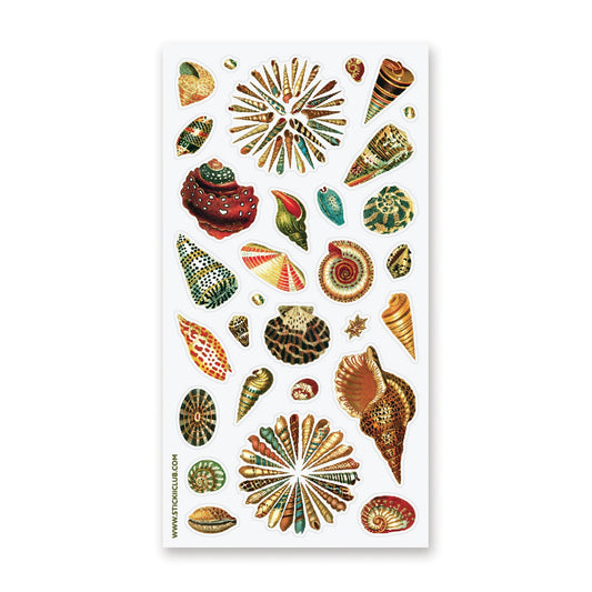 WASHI SHELLS STICKER SHEET