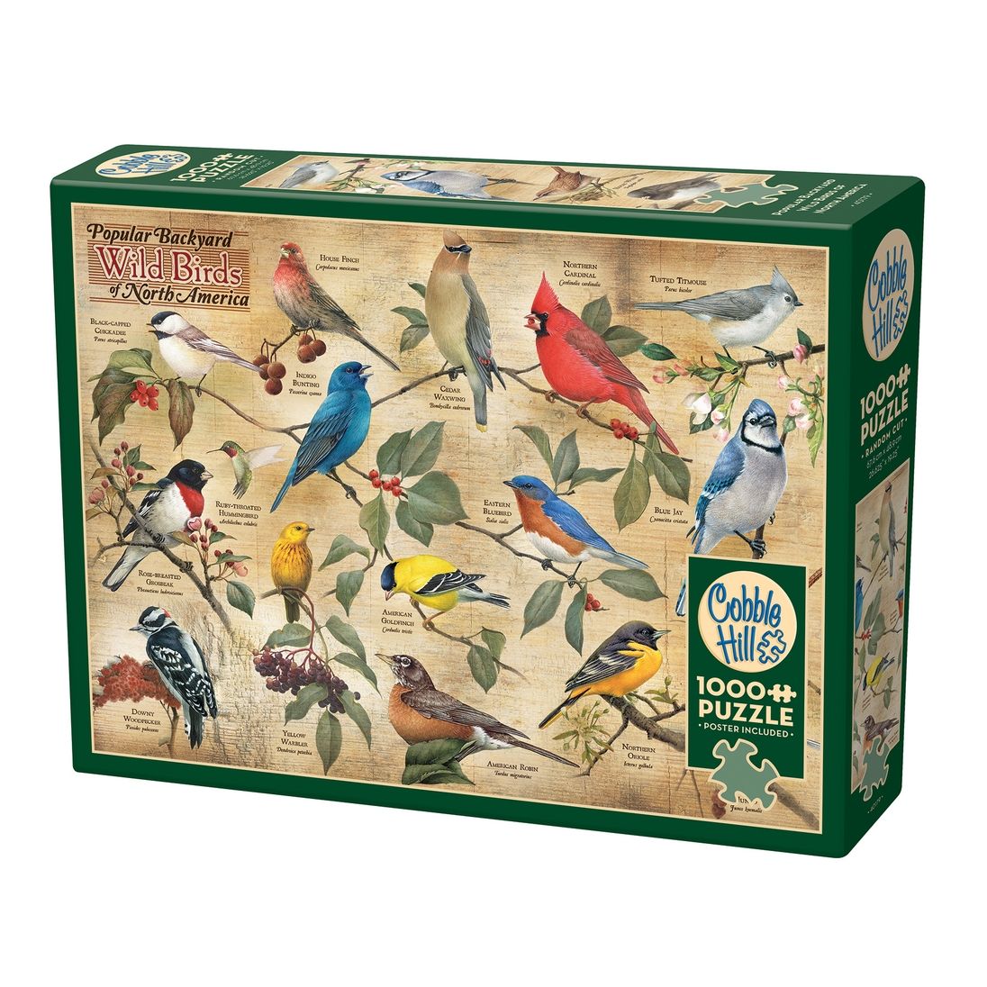 POPULAR BACKYARD WILD BIRDS OF NORTH AMERICA 1000PC PUZZLE