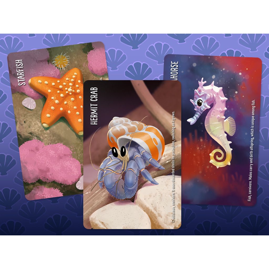 SIMILO AQUATIC ANIMALS