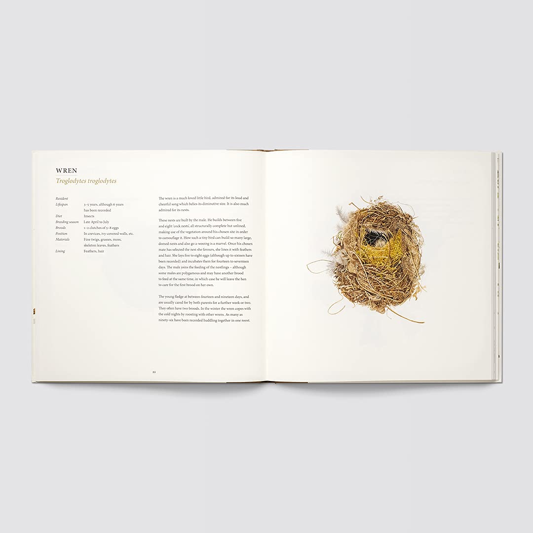 NESTS BY SUSAN OGILVY