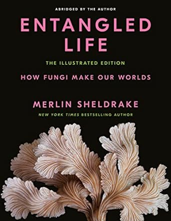 ENTANGLED LIFE (ILLUSTRATED EDITION) HOW FUNGI MAKE OUR WORLDS BY MERLIN SHELDRAKE