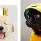 THIS BOOK IS LITERALLY JUST PICTURES OF CUTE ANIMALS THAT WILL MAKE YOU FEEL BETTER BY SMITH STREET BOOKS