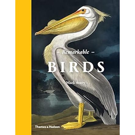 REMARKABLE BIRDS BY MARK AVERY