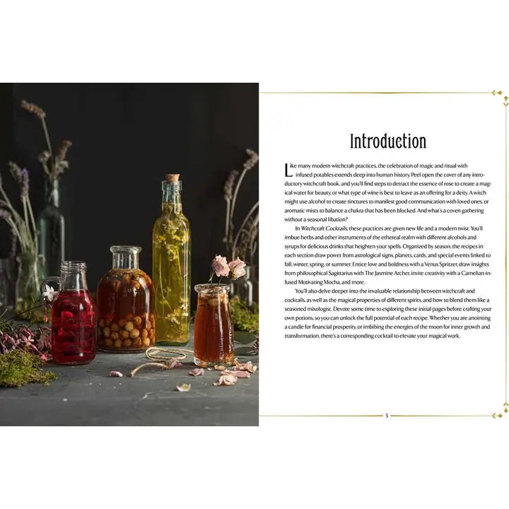 WITCHCRAFT COCKTAILS BY JULIA HALINA HADAS