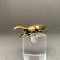 MINIATURE BRASS HERCULES BEETLE