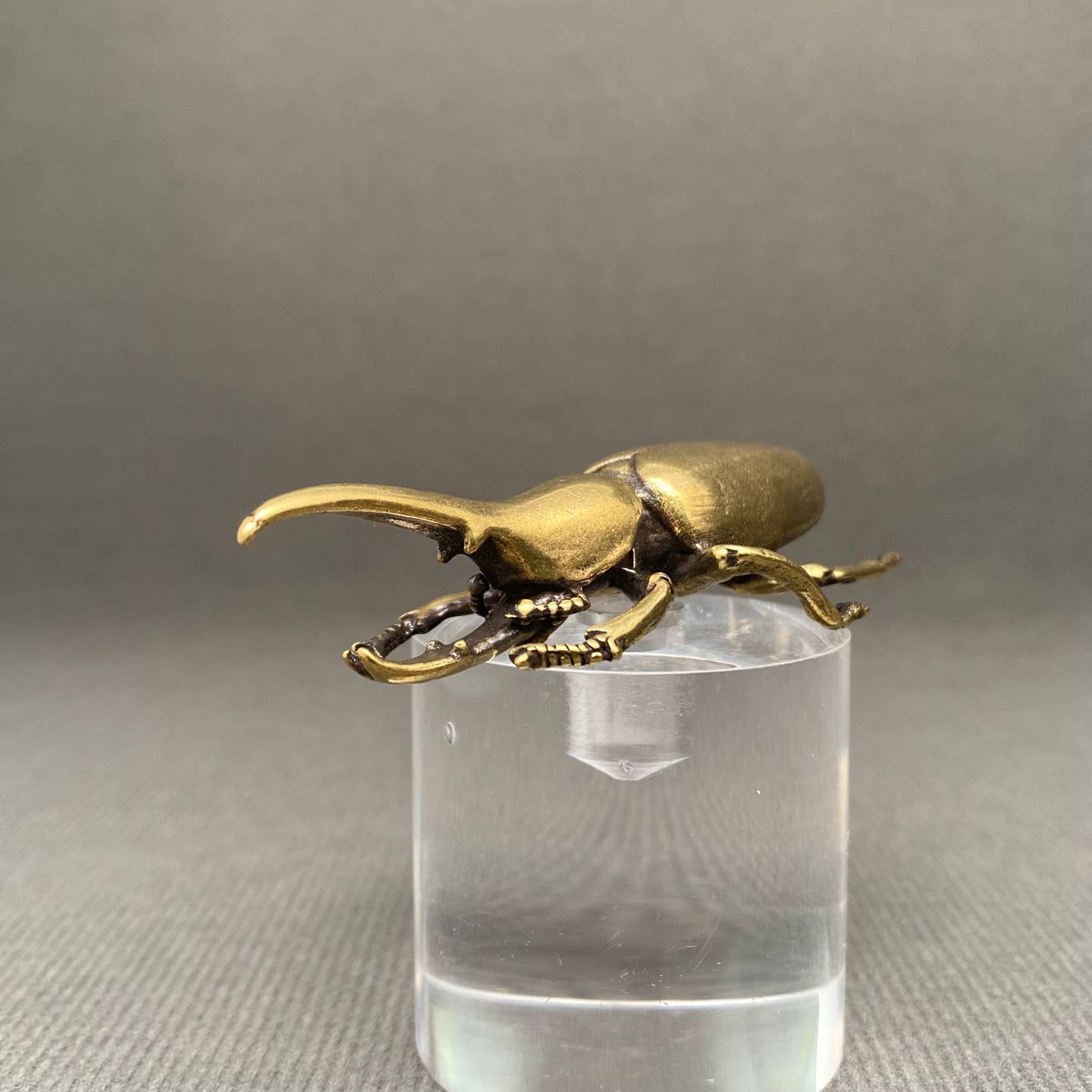 MINIATURE BRASS RHINOCEROS BEETLE